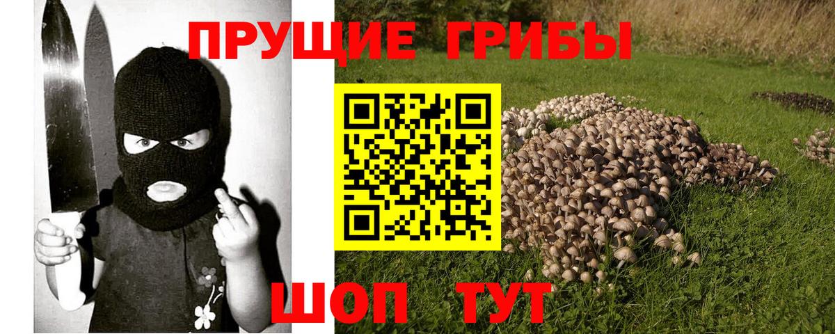 Галлюциногенные грибы Cubensis  Вход с VPN  Дивногорск  Галлюциногенные грибы Magic Shrooms 